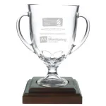 TMA-2020-Award-231x300.jpeg